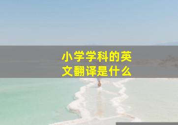 小学学科的英文翻译是什么