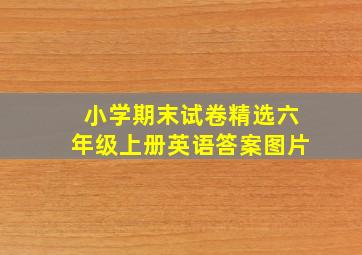 小学期末试卷精选六年级上册英语答案图片