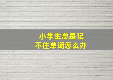 小学生总是记不住单词怎么办