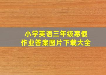 小学英语三年级寒假作业答案图片下载大全