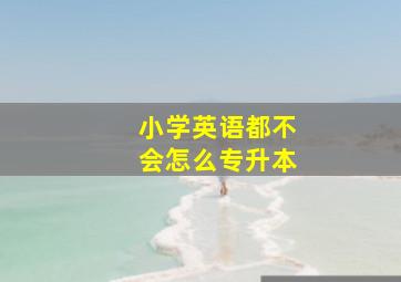 小学英语都不会怎么专升本