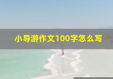 小导游作文100字怎么写