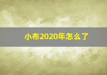 小布2020年怎么了