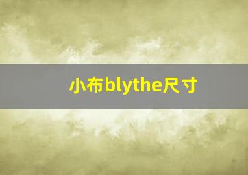 小布blythe尺寸