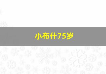 小布什75岁