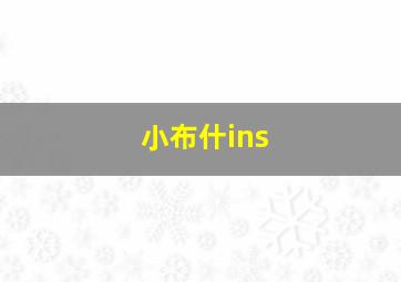 小布什ins