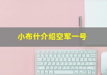 小布什介绍空军一号