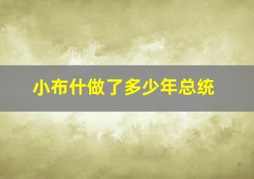 小布什做了多少年总统