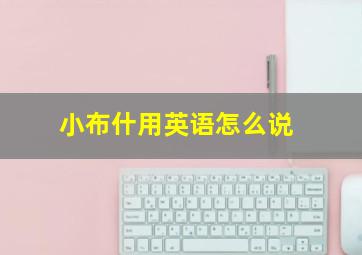 小布什用英语怎么说