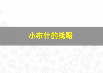 小布什的战略