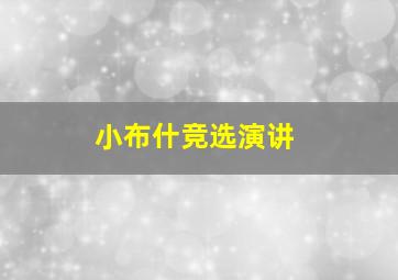 小布什竞选演讲