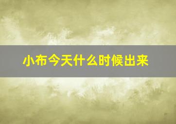 小布今天什么时候出来