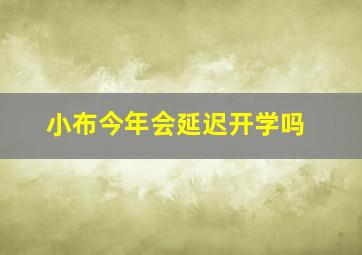 小布今年会延迟开学吗