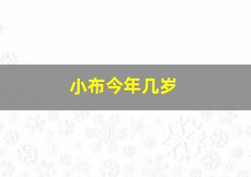 小布今年几岁