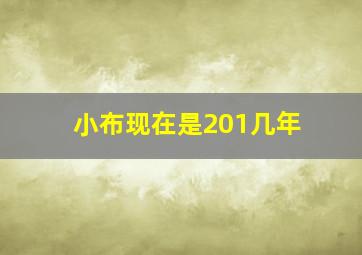 小布现在是201几年