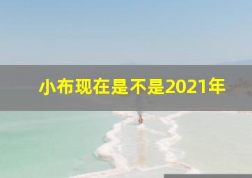 小布现在是不是2021年