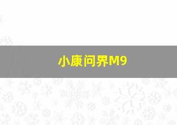 小康问界M9