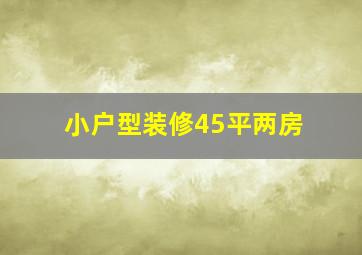 小户型装修45平两房