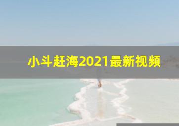 小斗赶海2021最新视频