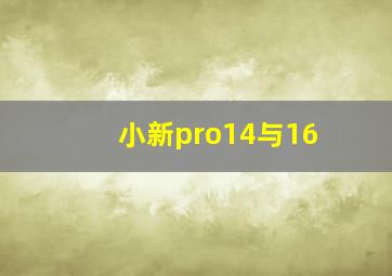 小新pro14与16