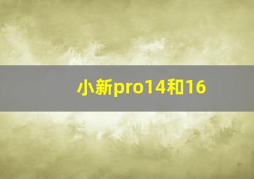 小新pro14和16