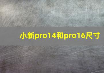 小新pro14和pro16尺寸