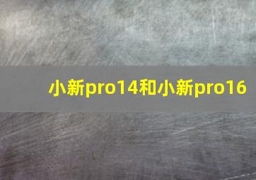 小新pro14和小新pro16