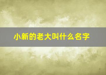 小新的老大叫什么名字