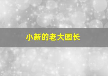 小新的老大园长