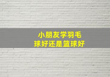 小朋友学羽毛球好还是篮球好