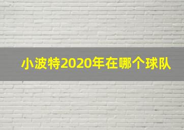 小波特2020年在哪个球队