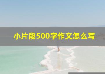 小片段500字作文怎么写