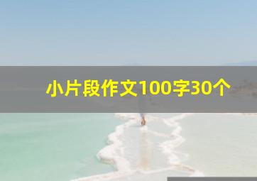 小片段作文100字30个