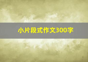 小片段式作文300字