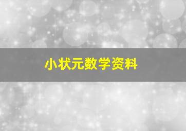 小状元数学资料