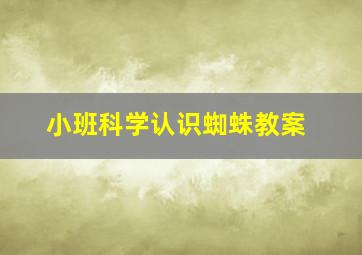 小班科学认识蜘蛛教案