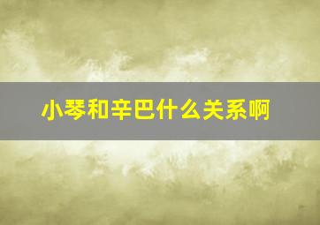 小琴和辛巴什么关系啊