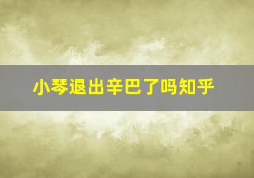 小琴退出辛巴了吗知乎