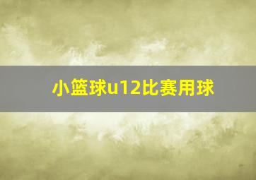 小篮球u12比赛用球