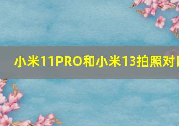 小米11PRO和小米13拍照对比