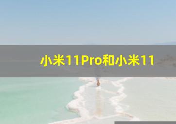 小米11Pro和小米11