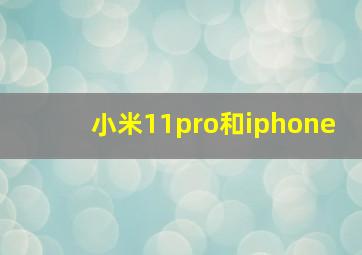 小米11pro和iphone