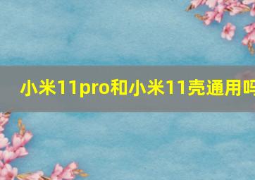 小米11pro和小米11壳通用吗