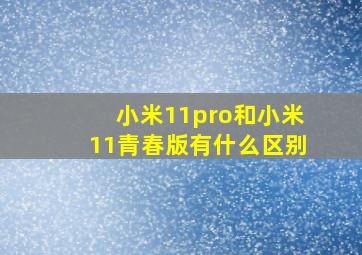 小米11pro和小米11青春版有什么区别