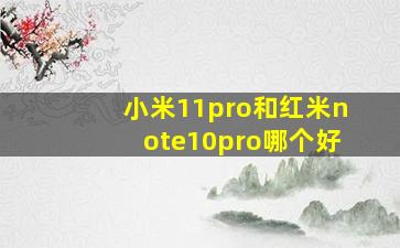 小米11pro和红米note10pro哪个好