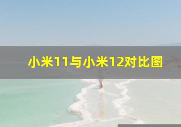 小米11与小米12对比图