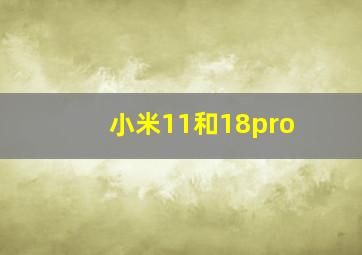 小米11和18pro