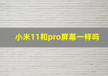 小米11和pro屏幕一样吗