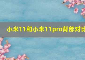 小米11和小米11pro背部对比