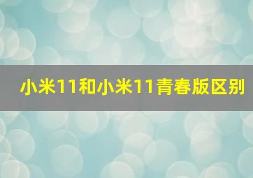 小米11和小米11青春版区别